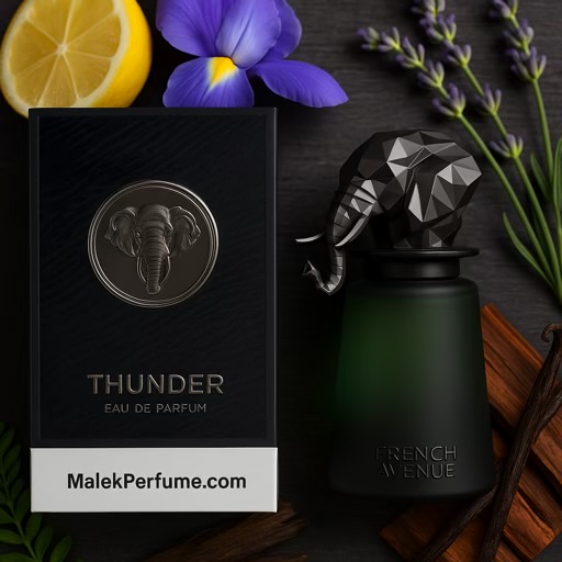 ادکلن تندر فرنچ اونیو حجم 100 میل مشابه رایحه The Omniscient Mister Thompso